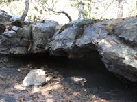 rrente Quarantore-20110911 007